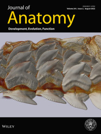 Journal of Anatomy : Volume 241 Issue 3, 2022