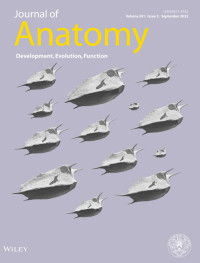 Journal of Anatomy, Volume 241, Issue 3, 2022