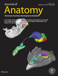 Journal of Anatomy : Volume 237, Issue 2, 2020