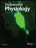 The Journal of Physiology ; 1.	Volume 600, Issue 23, December 2022